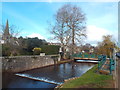 SX9576 : Dawlish Water, Dawlish by Malc McDonald