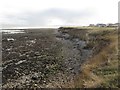 NZ4162 : Rocky coastline at Whitburn by Graham Robson