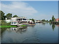 SJ6572 : Moored boats, west bank, River Weaver by Christine Johnstone