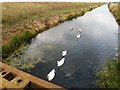 TL4177 : On Jolly Banker's Bridge - The Ouse Washes by Richard Humphrey