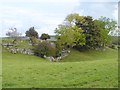 NY3734 : Limestone outcrop near Thwaite Hall by Oliver Dixon