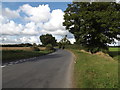 TM0994 : Besthorpe Road, Carleton Rode by Geographer