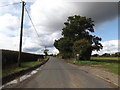 TM1094 : Bridge on Bunwell Street by Geographer