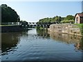 SJ6568 : Newbridge Swingbridge, River Weaver by Christine Johnstone