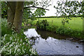 SP3879 : River Sowe beneath big poplars, Walsgrave, Coventry by Robin Stott