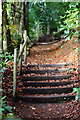 SK2670 : Path through Stand Wood by Andy Stephenson