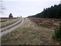 SE8896 : Moorland  track  west  side  of  Langdale  Forest by Martin Dawes