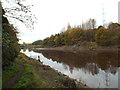 NZ3355 : River Wear near Washington by Malc McDonald