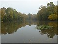 SO8644 : Fishing pool at Severn Stoke by Philip Halling