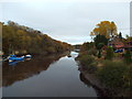 NZ3255 : River Wear at Cox Green, near Washington by Malc McDonald