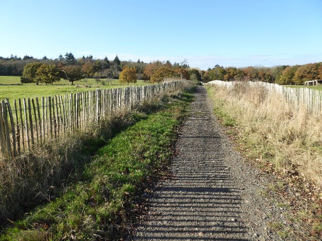 Bridleway to Tiddesley Wood