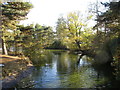 TL9927 : Ornamental pond, Colchester General Hospital by Jonathan Thacker