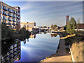 TQ3784 : River Lee Navigation at Stratford by David Dixon