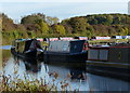 SK3706 : Narrowboats moored along the Ashby Canal by Mat Fascione