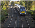 J4781 : Train, Crawfordsburn by Rossographer