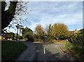 TL1614 : Cherry Tree Lane, Lea Valley, Wheathampstead by Geographer