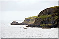 NM3235 : The Eastern Coastline of Staffa by David Dixon