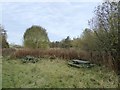 SJ8351 : Overgrown picnic tables by Bradwell Woods by Jonathan Hutchins