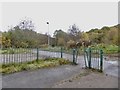 SJ8450 : Bradwell Woods Greenway by Jonathan Hutchins