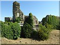 TQ6404 : Ruins of Pevensey Castle by Philip Halling