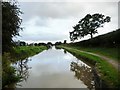 SJ6865 : Middlewich Branch, near Park Farm by Christine Johnstone