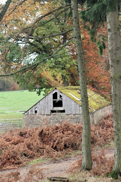 Red leaves Green roof