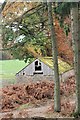 NO7497 : Red leaves Green roof by Andrew Wood