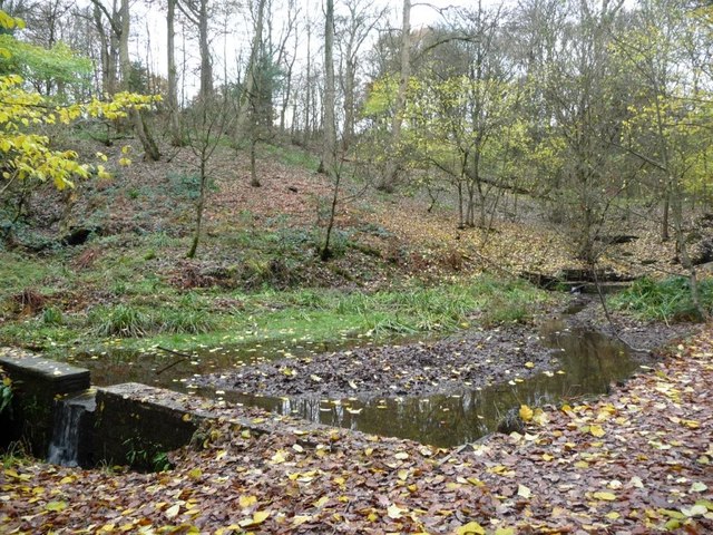 Silted up pond on Northcliff Dike