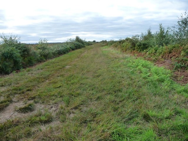 Mosses Trail, between posts 9 and 8, Whixall Moss