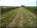 SJ4835 : Mosses Trail track, heading north-east, Whixall Moss by Christine Johnstone