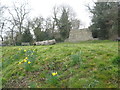 SO3289 : Castle mound 1 - Bishop's Castle, Shropshire by Martin Richard Phelan