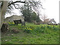 SO3289 : Castle mound 2 - Bishop's Castle, Shropshire by Martin Richard Phelan