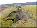 NY9165 : Damage to floodbank in Kingshaw Haugh by Oliver Dixon