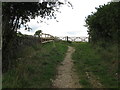 SO8206 : Cotswold Way on Maiden Hill - Gloucestershire by Martin Richard Phelan