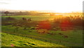 ST4353 : Looking south west from Cheddar Reservoir by John Brightley