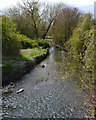 SP3576 : River Sowe downstream from Southport Close, Willenhall, southeast Coventry by Robin Stott