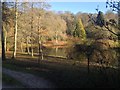 ST7734 : The Garden Lake, Stourhead by Kate Jewell