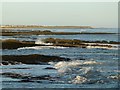 NU2328 : Looking north from Beadnell Point by Alan Murray-Rust