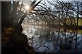 SK2475 : River Derwent, Derbyshire by Andrew Tryon