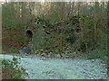 NZ0548 : Lime kiln at Lead Mill, Muggleswick  1 by Alan Murray-Rust