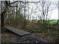 SE3214 : Boardwalk on the northern edge of Seckar Wood by Christine Johnstone