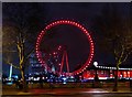 TQ3079 : London Eye at Night by PAUL FARMER