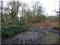 SE4208 : Frozen path heading north-east, Houghton Common by Christine Johnstone