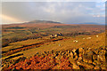 NZ0300 : Arkengarthdale by Mick Garratt