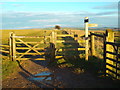 TQ2711 : South Downs Way near Saddlescombe by Malc McDonald