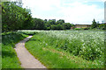 SP3879 : Rear of supermarket by the River Sowe floodplain, Walsgrave, east Coventry by Robin Stott