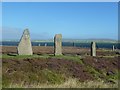 HY2913 : Ring of Brodgar - South-east quadrant by Rob Farrow