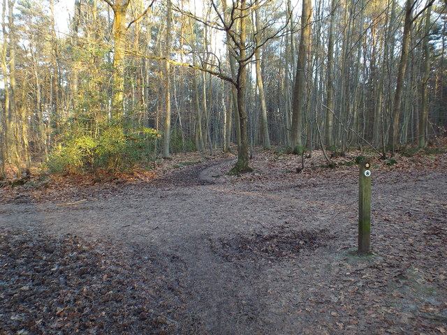 Greensand Way near Westerham