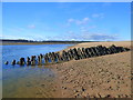 NT6480 : Tyne Wreck by Brian Turner