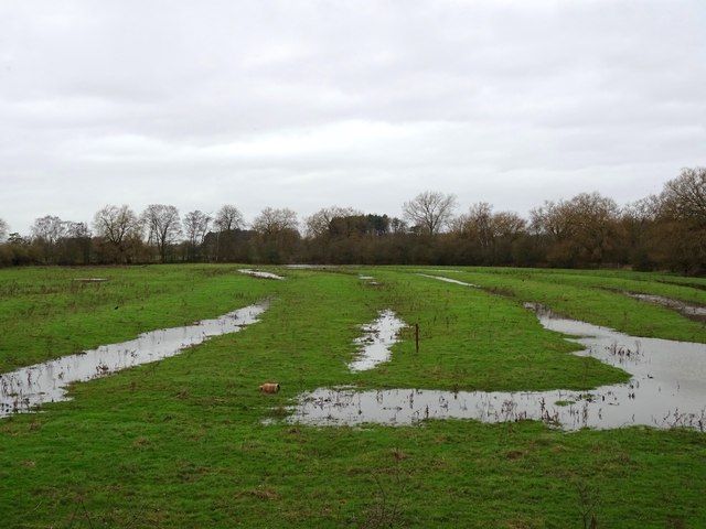 Ridge and flooded furrow field